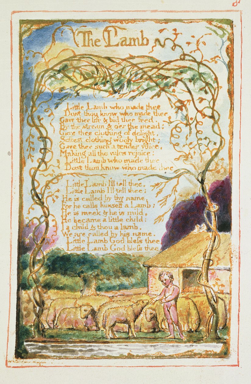 P.125-1950.pt8 Lammet: plate 8 fra 