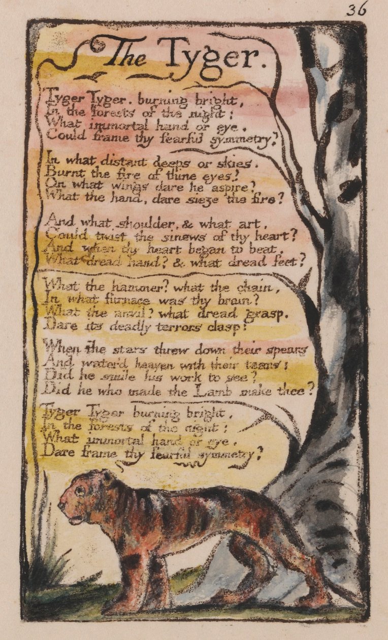 Songs of Innocence and of Experience, Plate 36, The Tyger (Bentley 42) av William Blake