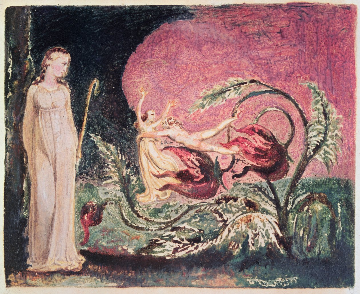 The Book of Thel: tittelside, 1794 (fargetrykt relieff-etsning) av William Blake