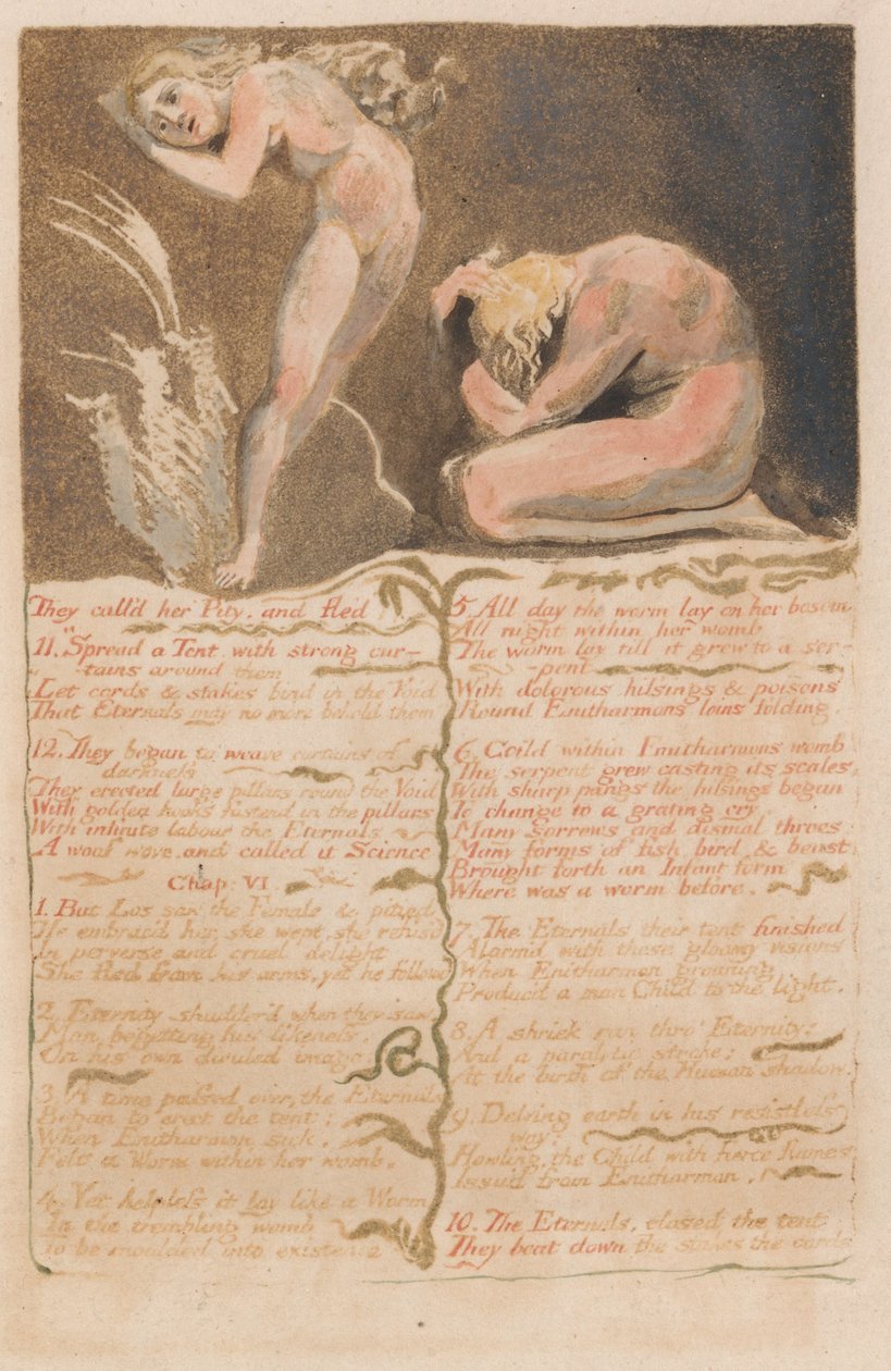 The First Book of Urizen, Plate 19, They Called Her Pity and Fled .... (Bentley 19) av William Blake