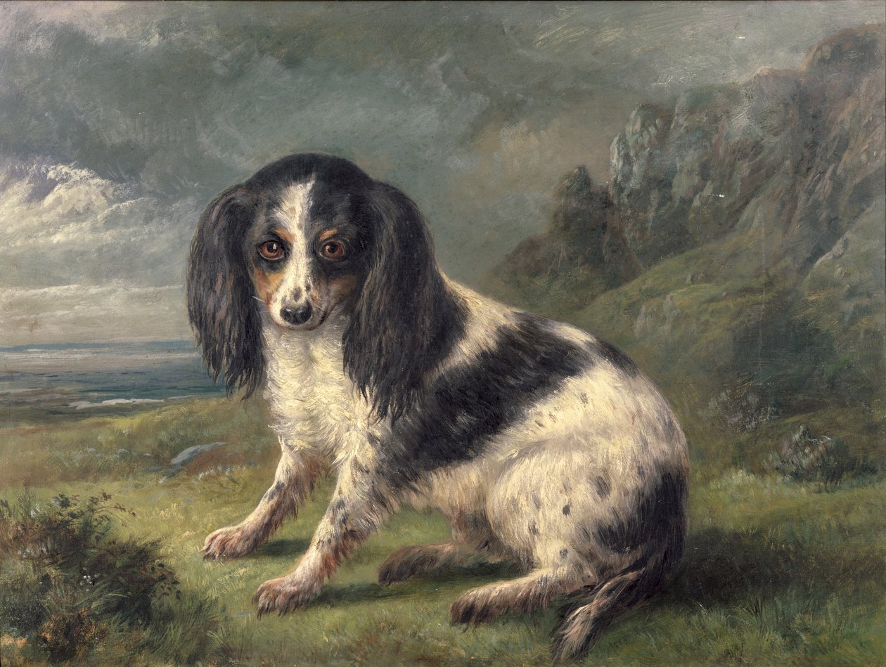 En King Charles Spaniel av William Ellis