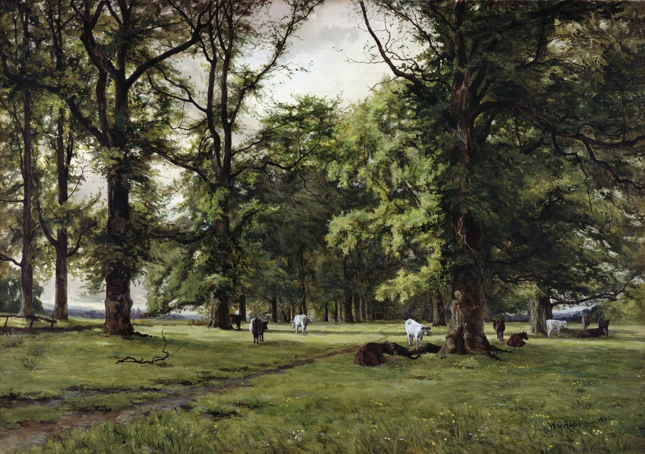 The Elm Walk av William Grylls Addison