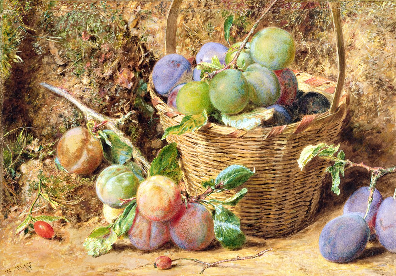 Plommer (wc) av William Henry Hunt