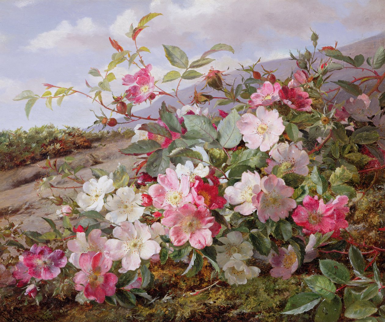 Eglantine, 1883 av William Jabez Muckley