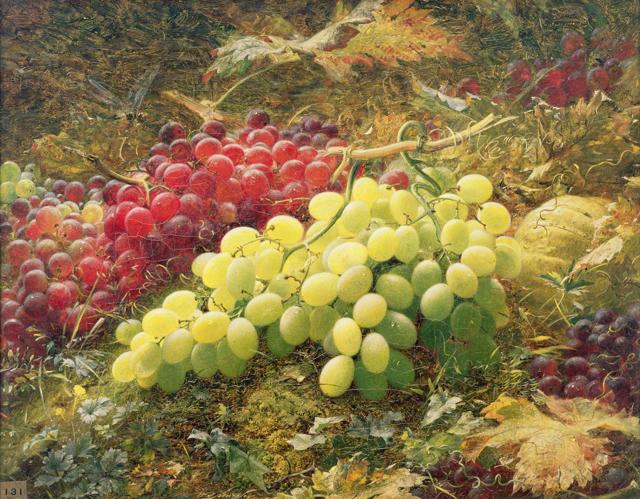 Druer av William Jabez Muckley