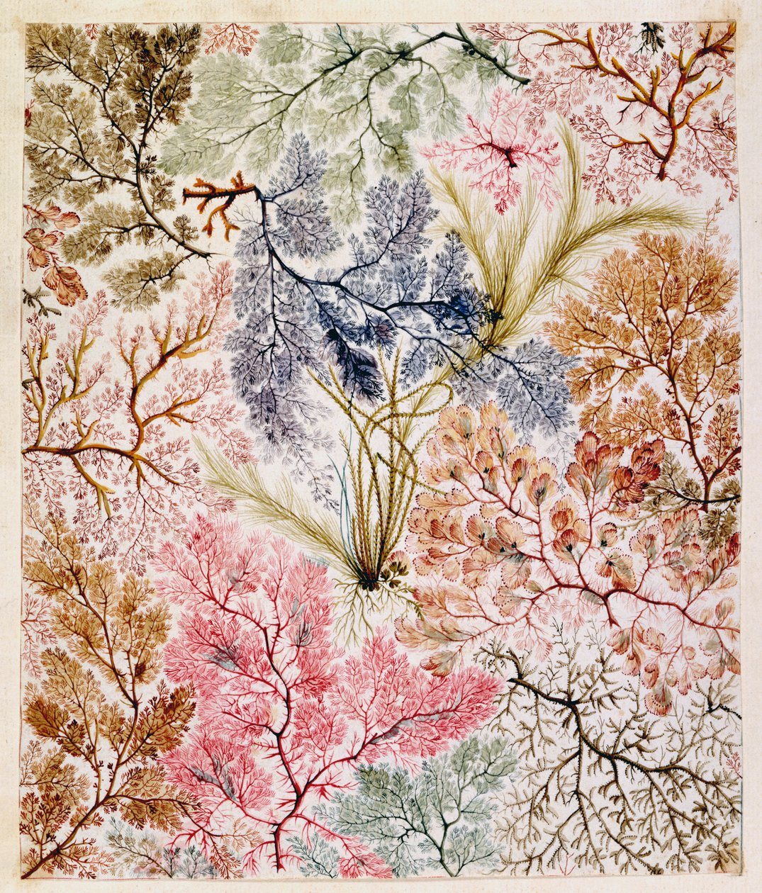 Tekstildesign, c.1788-92 av William Kilburn