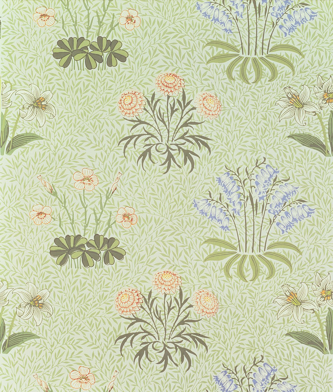 Daisy designtapet med liljekonvall og andre ville blomster på 