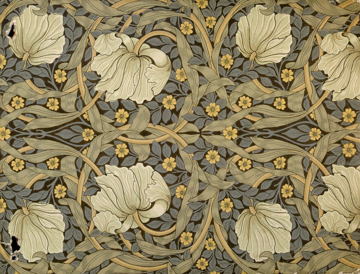 Pimpernel, design for tapet, 1876 av William Morris