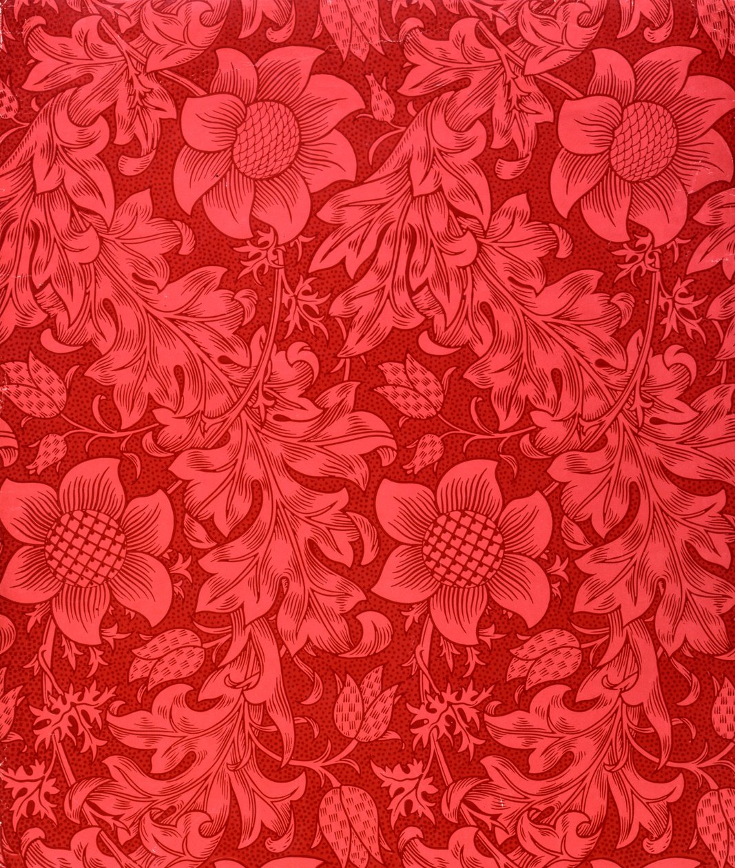 Red Sunflower Wallpaper Design, 1879 (farget treblokktrykk på papir) av William Morris