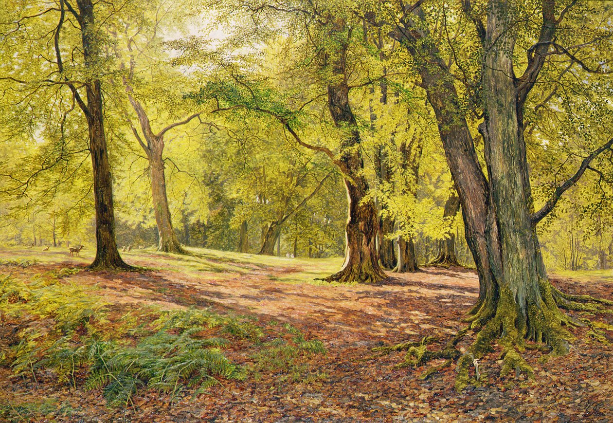 I bøkeskogen av William Samuel Jay