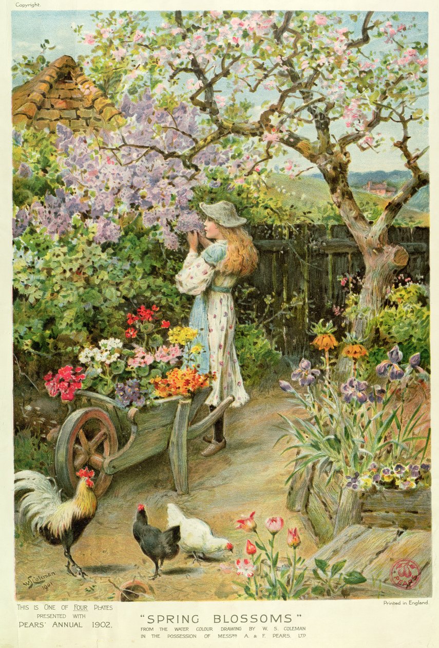 Spring Blossoms, fra Pears Annual, 1902 av William Stephen Coleman