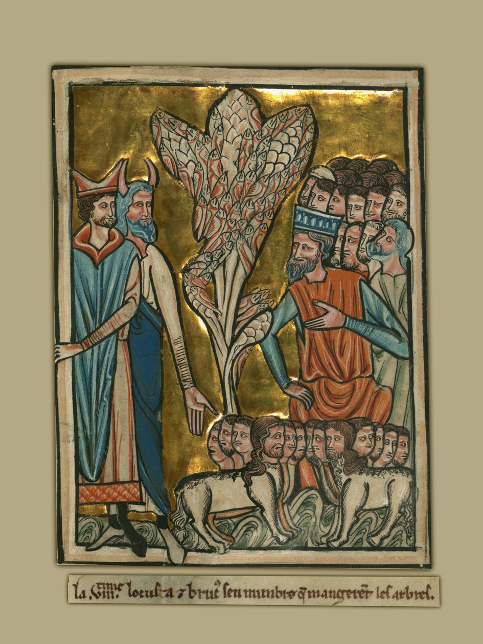 Den åttende pesten: gresshopper av William de Brailes  