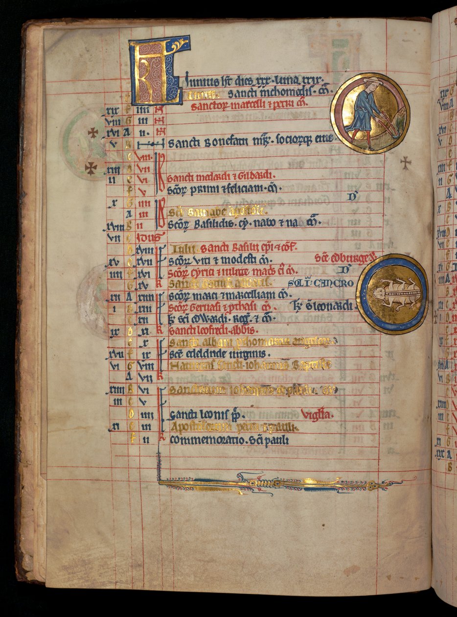 Ms 322 f.3v, juni, en mann som luker, illustrasjon fra 