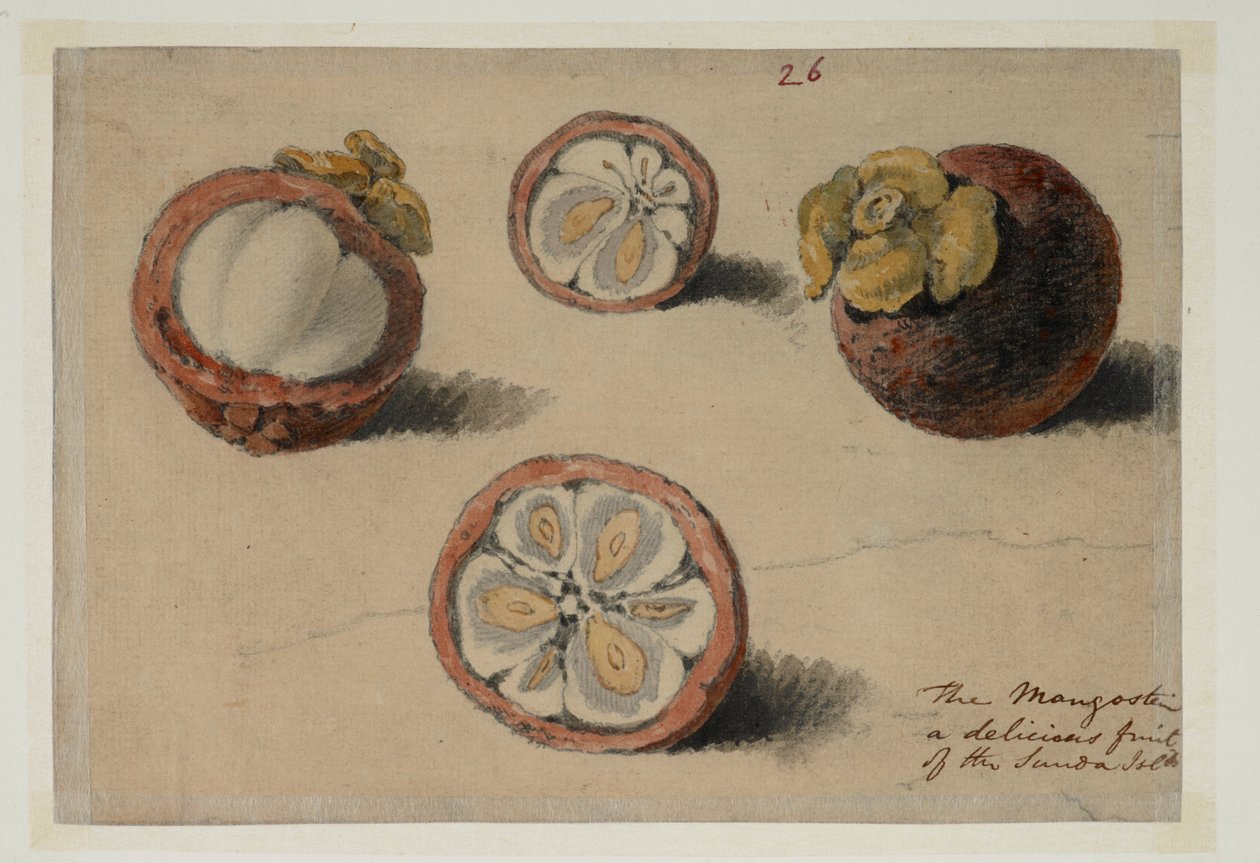 WD 961 f.26 av William Alexander