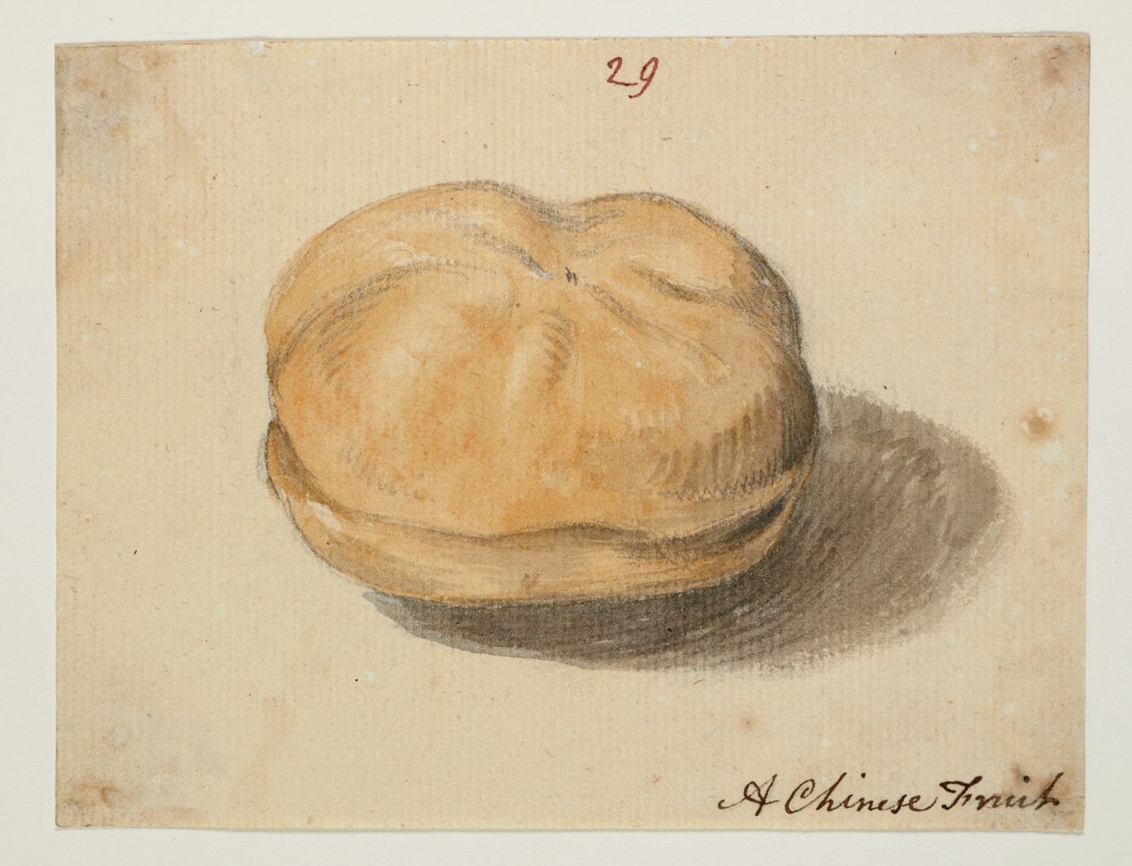 WD 961 f.29 av William Alexander