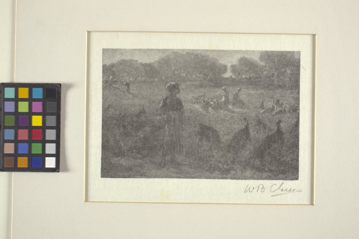 The Turkey Pasture (tregravering) av William Baxter Palmer Closson