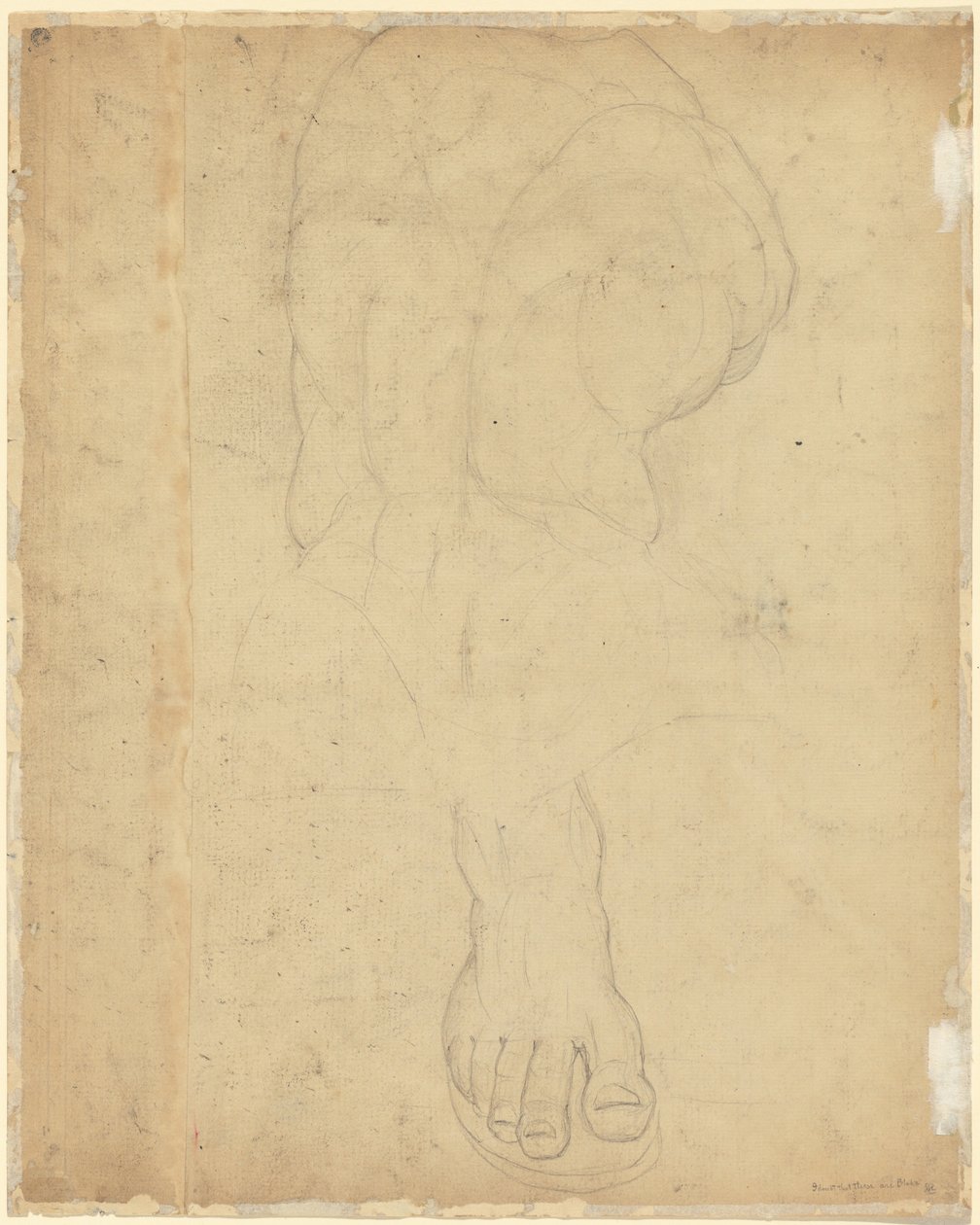 The Belvedere Torso [verso] av William Blake