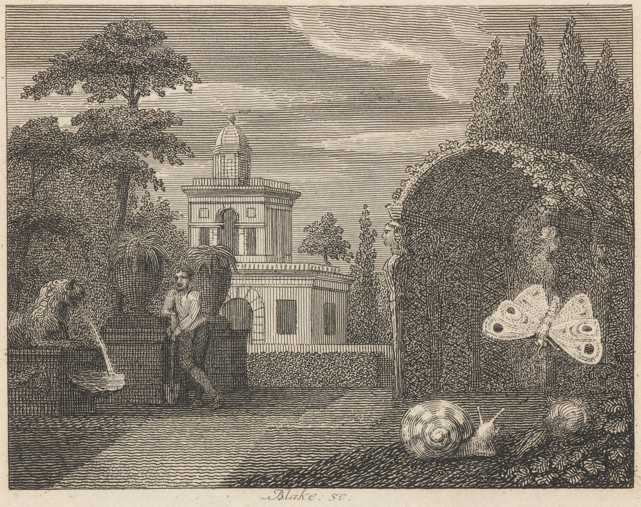 Sommerfuglen og sneglen av William Blake