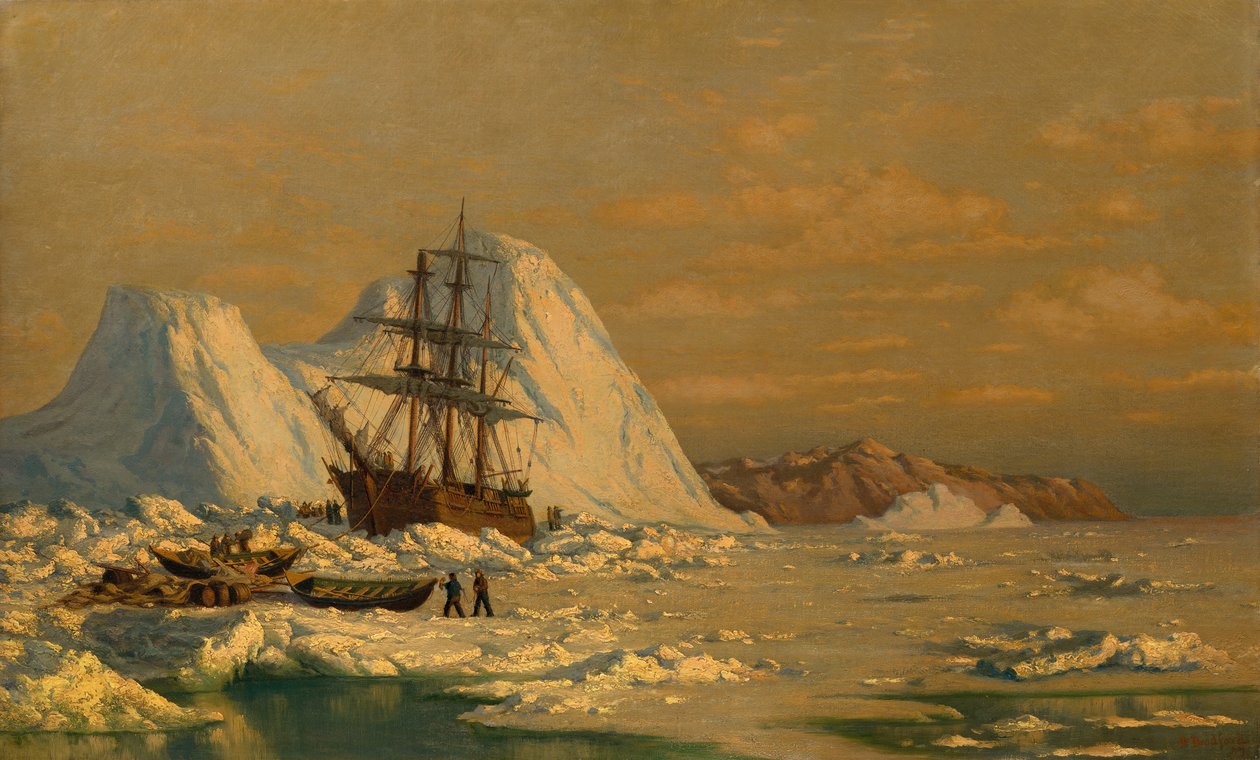 En hendelse med hvalfangst. av William Bradford