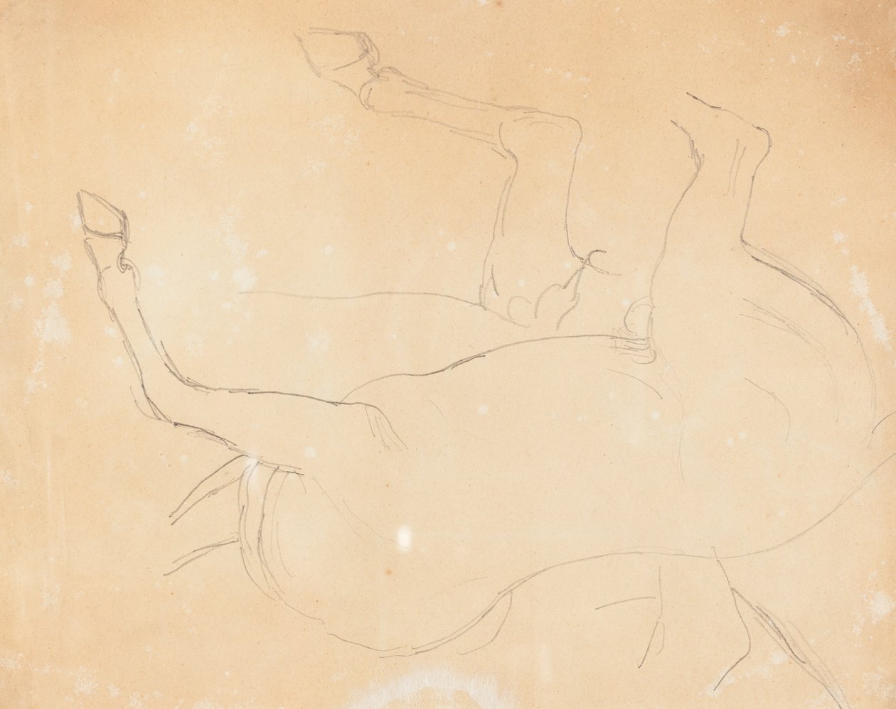 Studie av en hest [verso] av William Etty