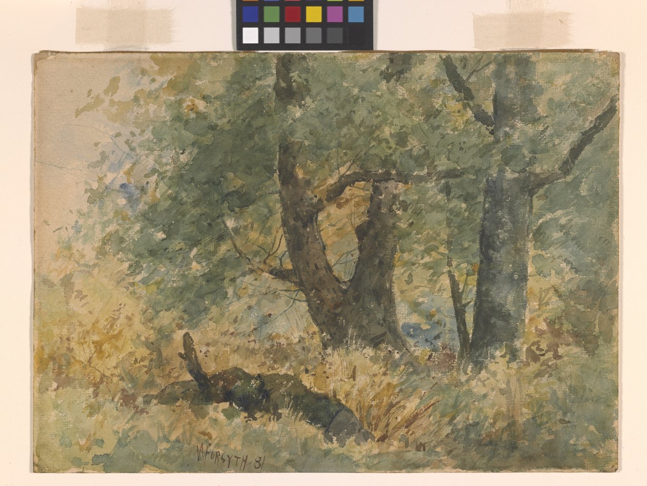 Skoglandskap (akvarell) av William Forsyth