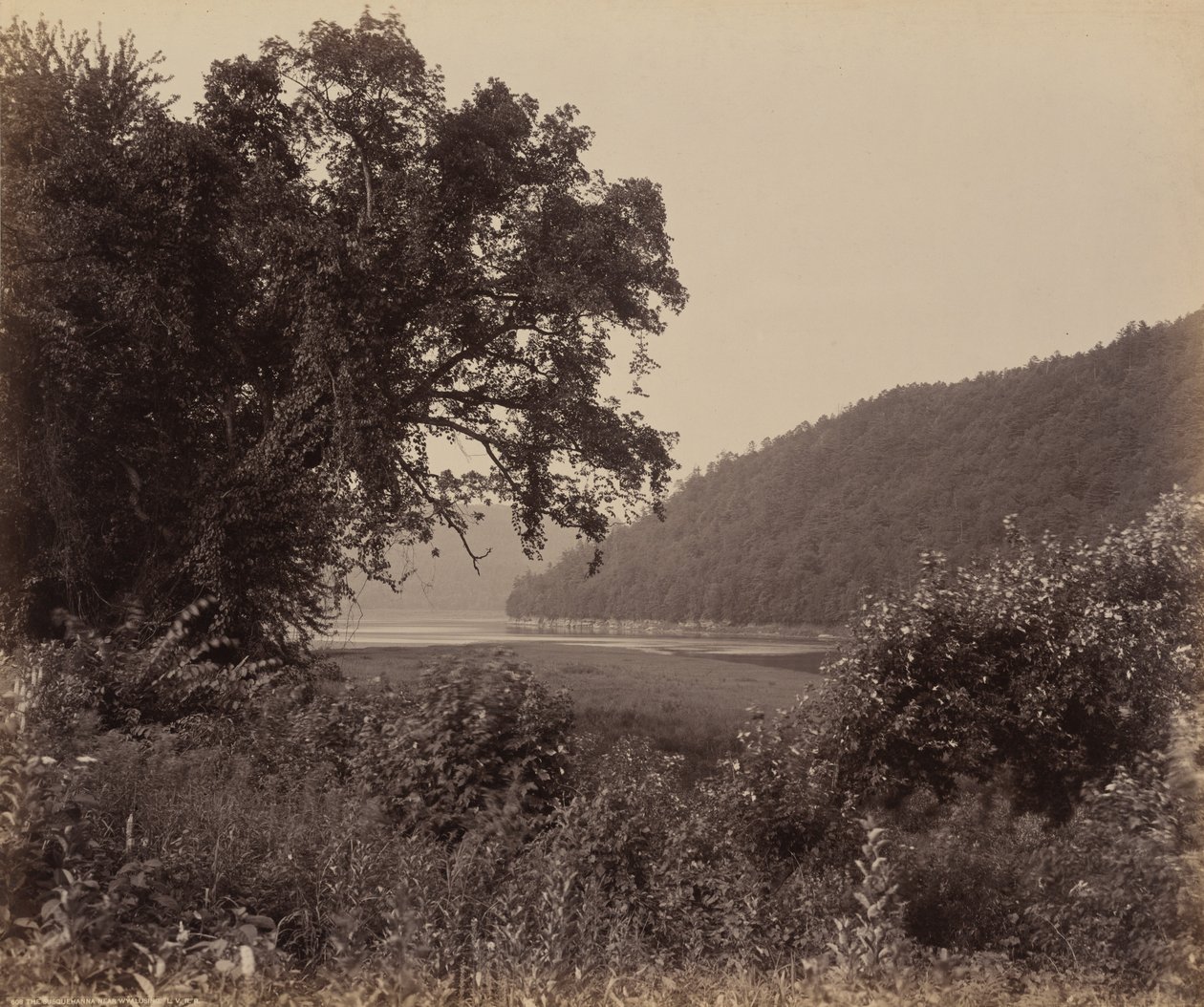 Susquehanna nær Wyalusing av William H. Rau