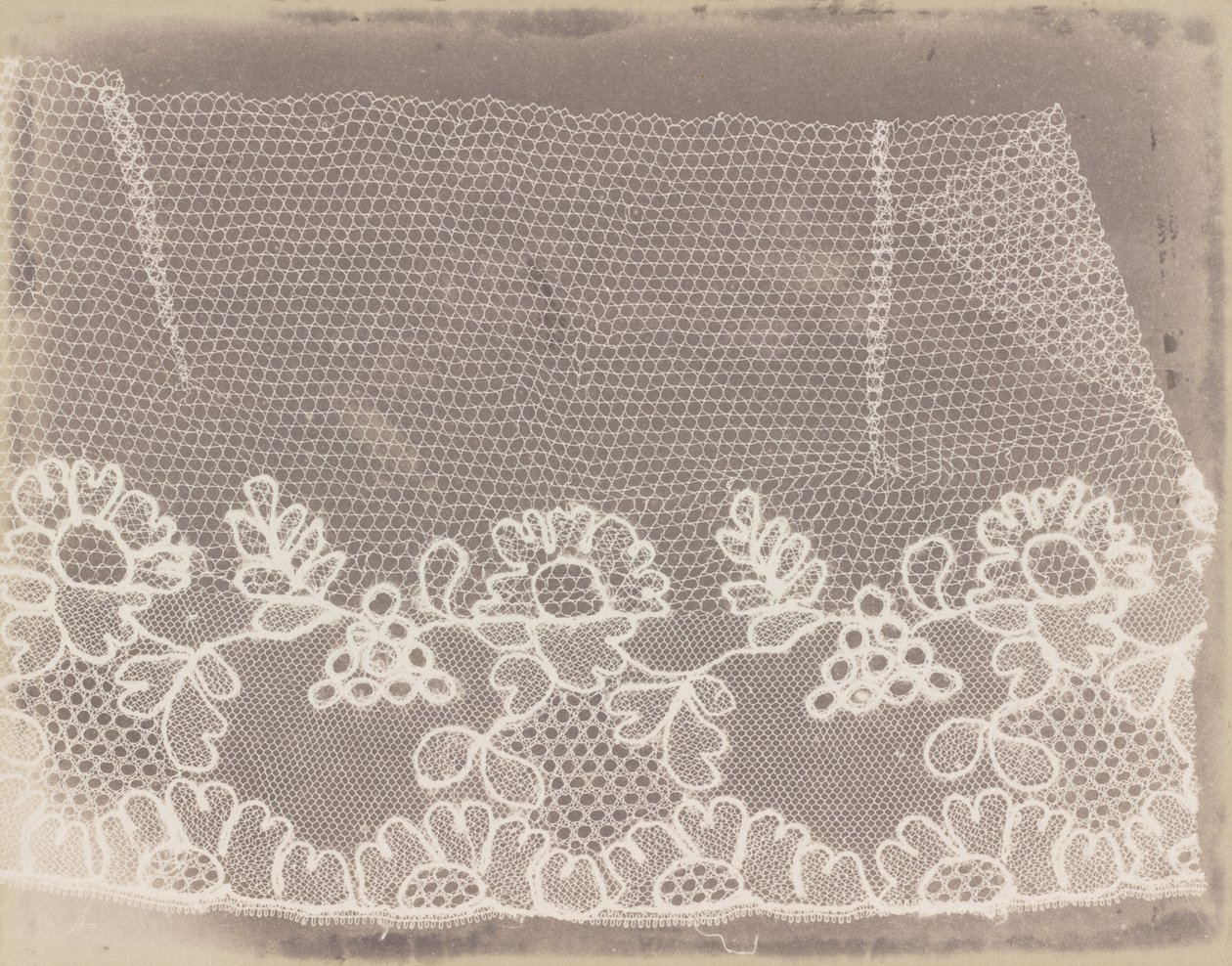 Blonder av William Henry Fox Talbot