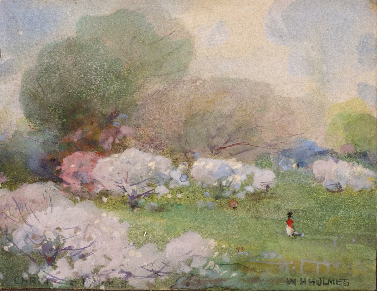 Cherry Blossoms, n.d. av William Henry Holmes