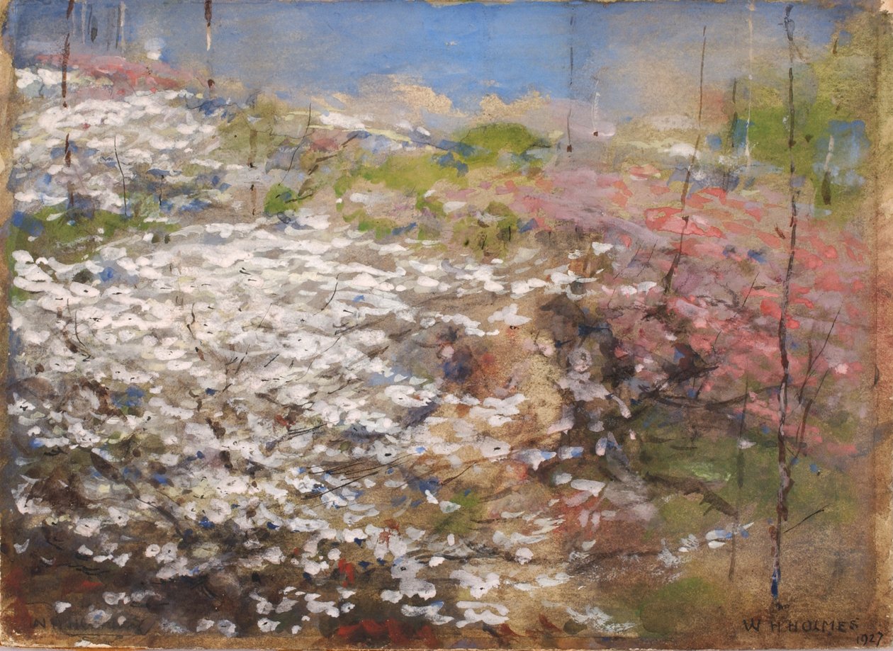 Field of Blossoms, 1927. av William Henry Holmes