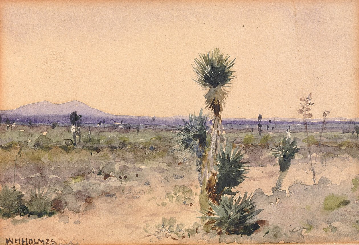 Yuccaland – Chihuahua, Mexico, n.d. av William Henry Holmes