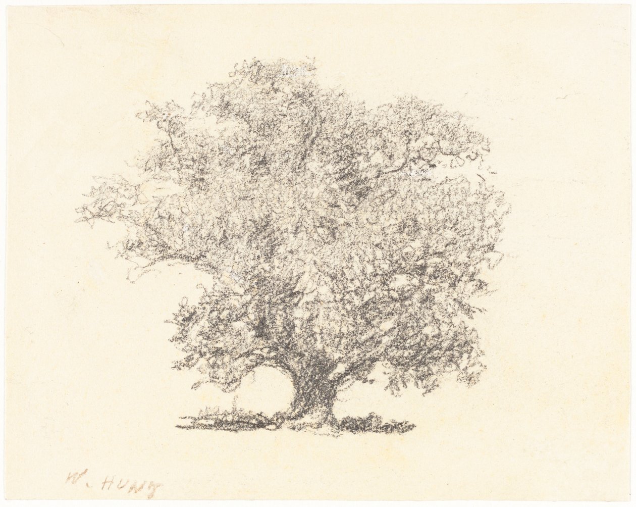 Et tre i helblad av William Henry Hunt