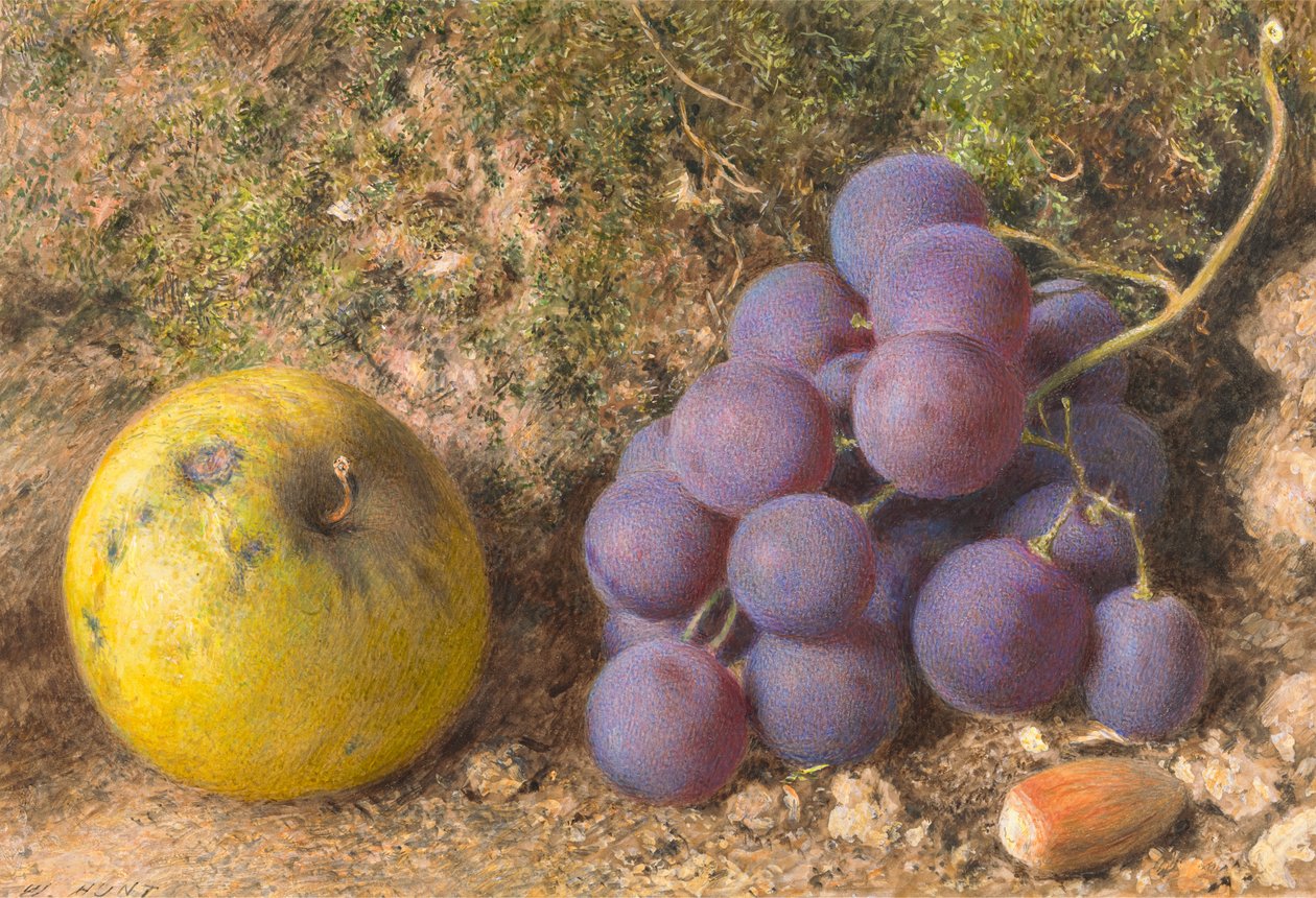 Eple, druer og en cob-nut av William Henry Hunt