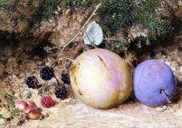 Nyper, bjørnebær og plommer av William Henry Hunt