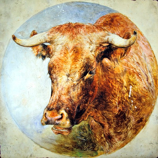 Leder for en Longhorn-ku av William Huggins