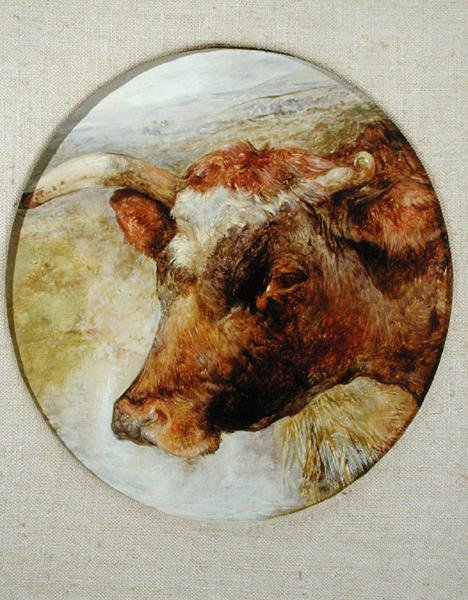 Leder for en Longhorn-ku av William Huggins