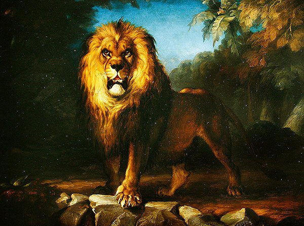 Løve av William Huggins