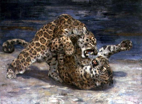 Leopards Fighting, ca. 1910 (olje på lerret) av William Walls
