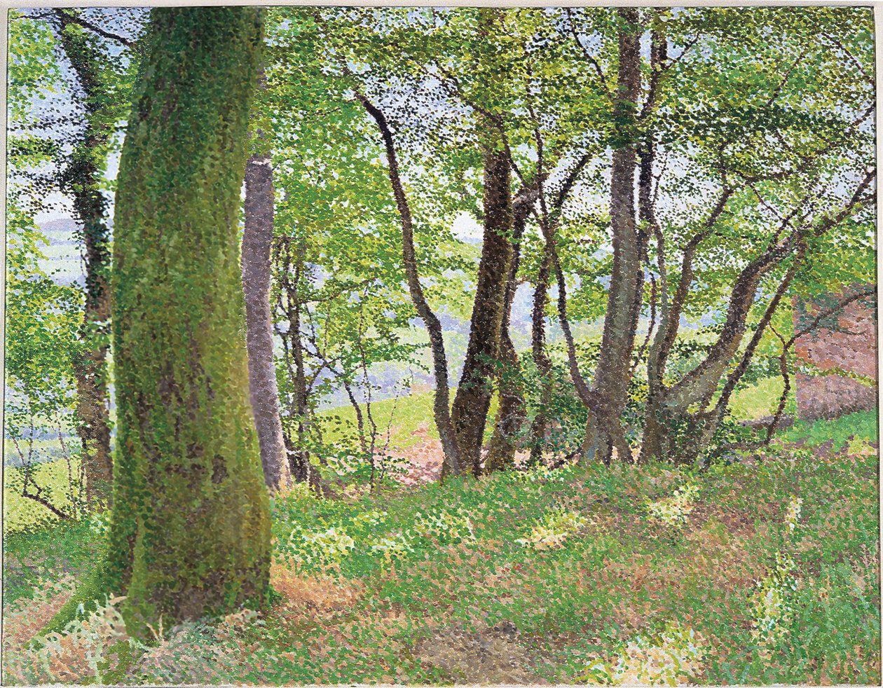 Carmarthenshire ettermiddag av William Wilkins