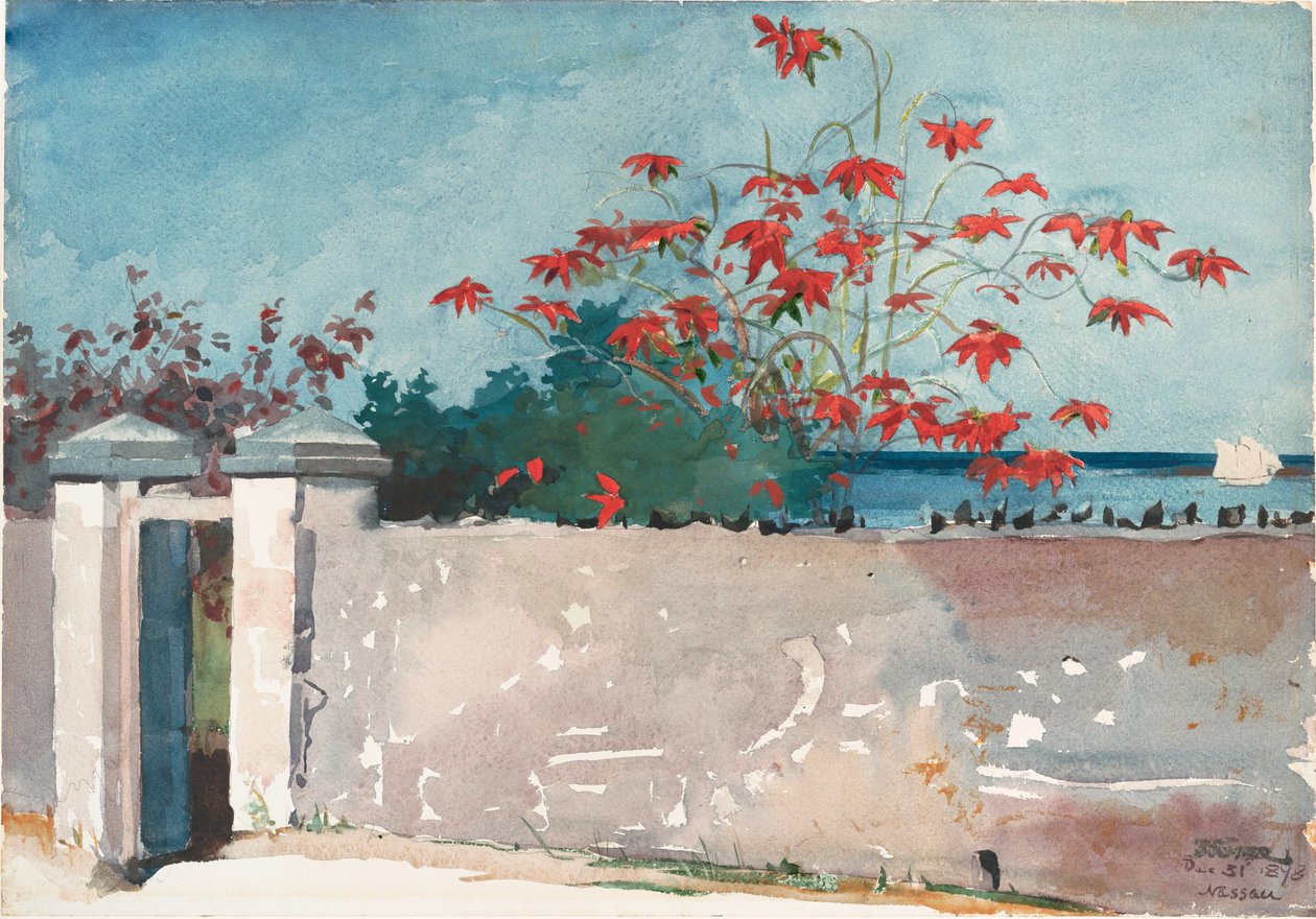En vegg, Nassau av Winslow Homer