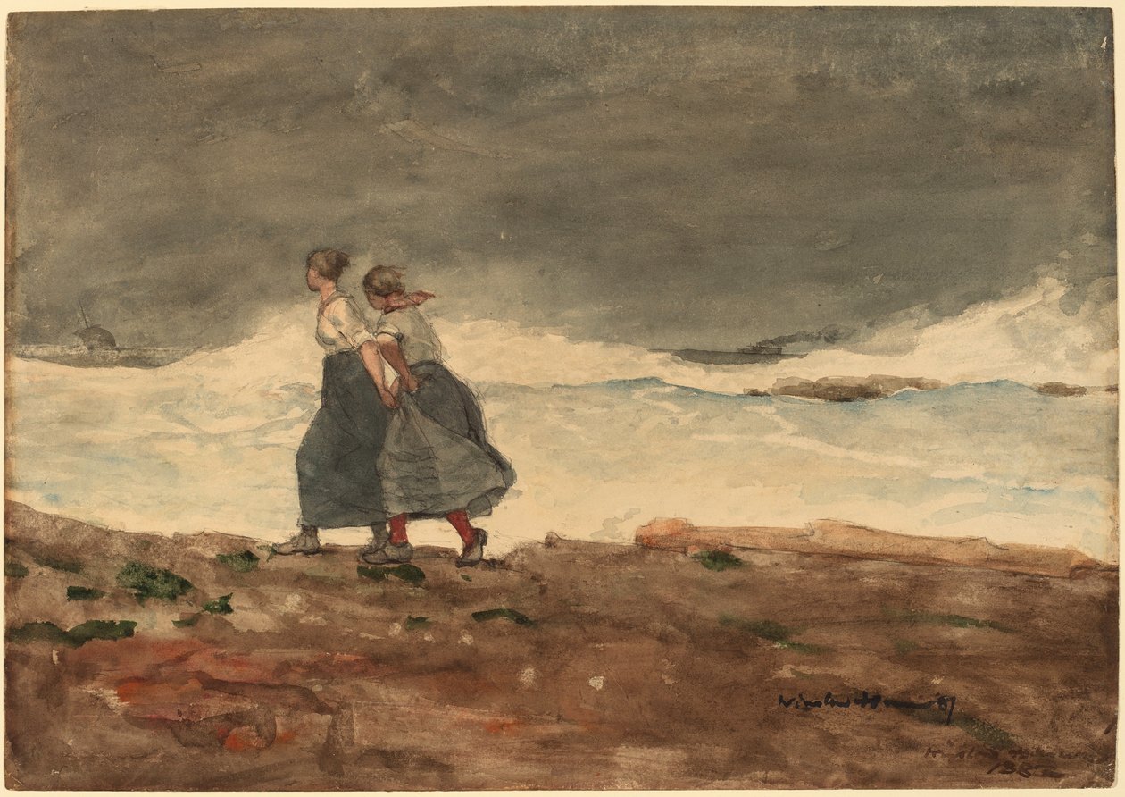 Fare av Winslow Homer