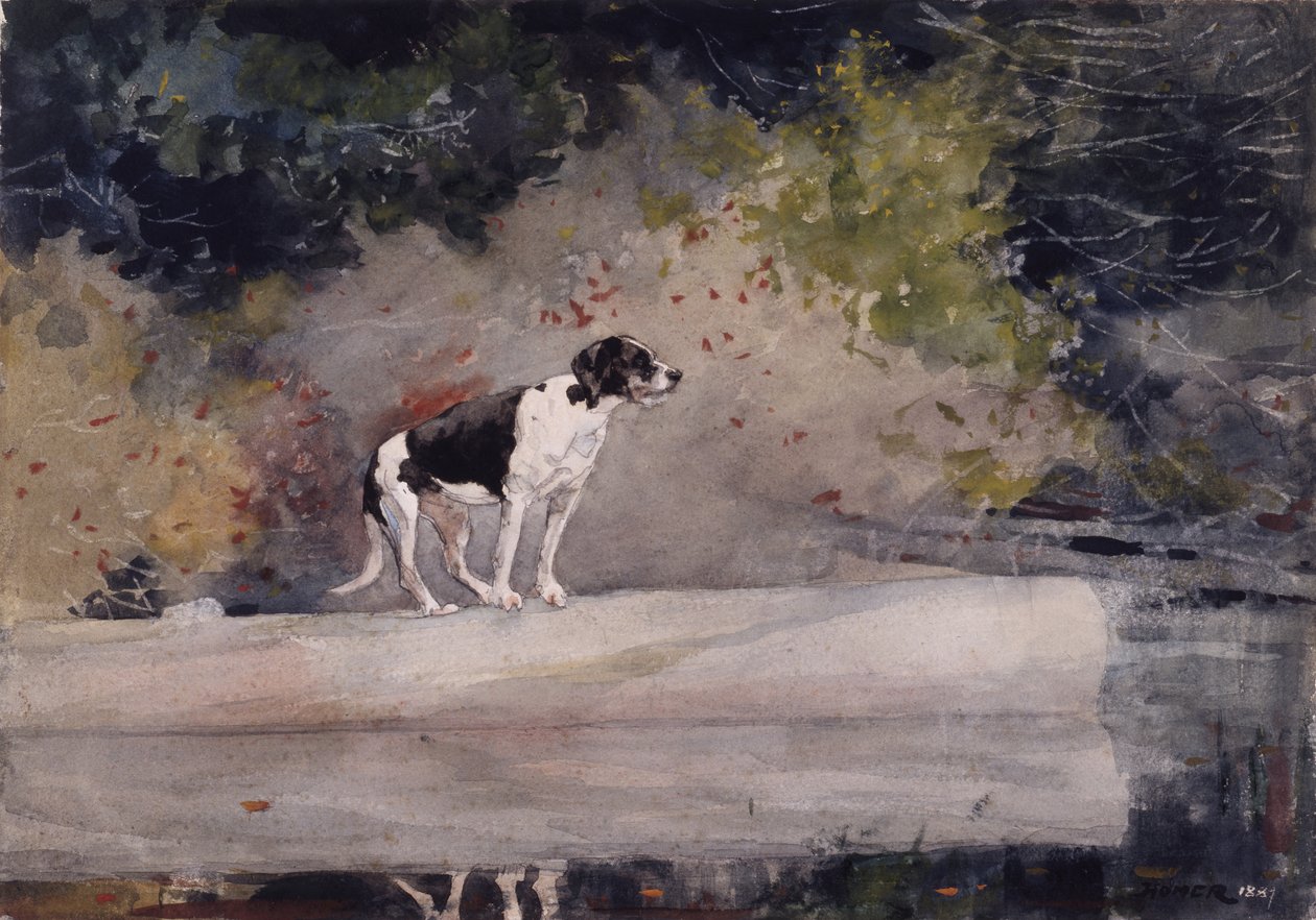 Hund på en tømmerstokk, 1889 av Winslow Homer