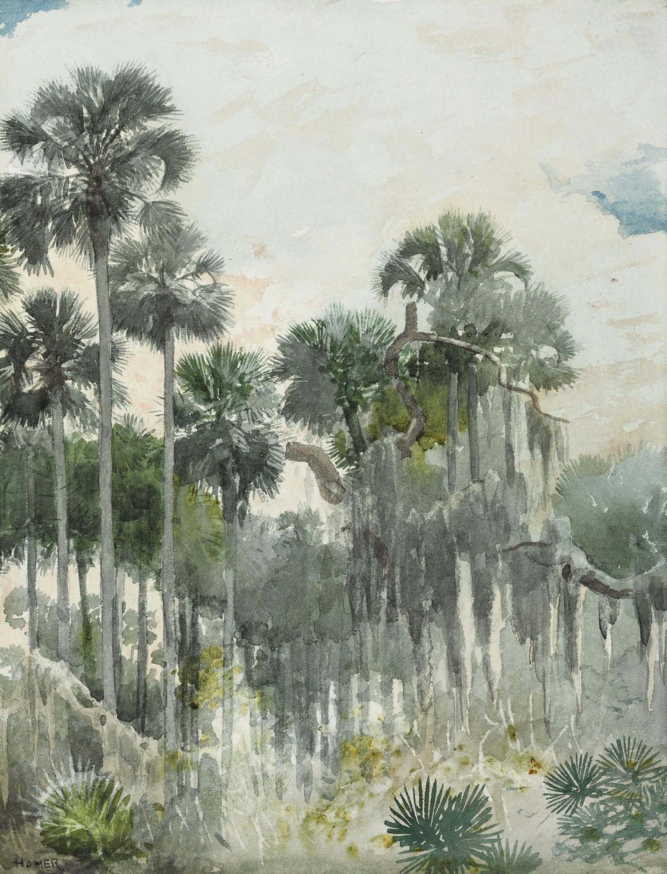 Florida Jungle av Winslow Homer