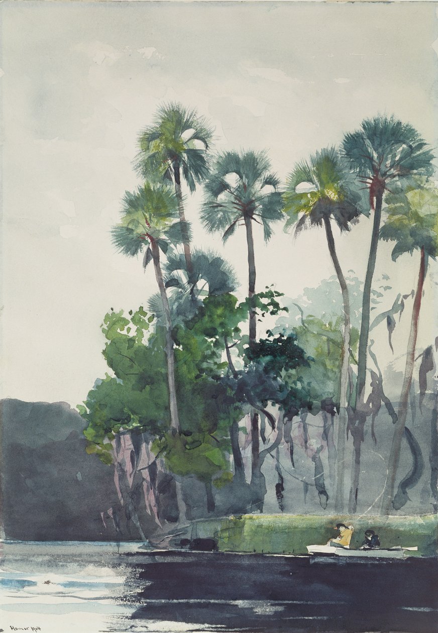 Homosassa-elven, 1904 av Winslow Homer