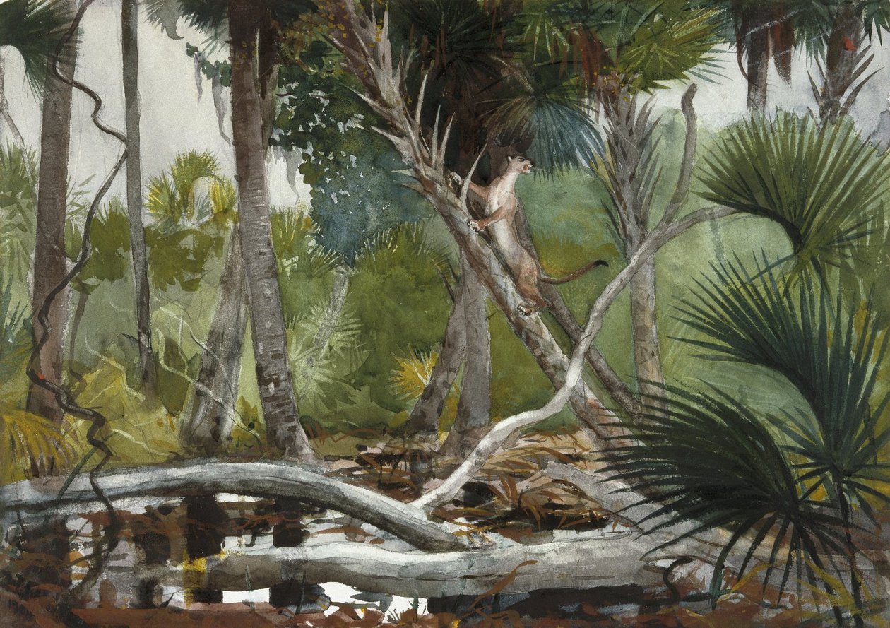 I jungelen, Florida av Winslow Homer