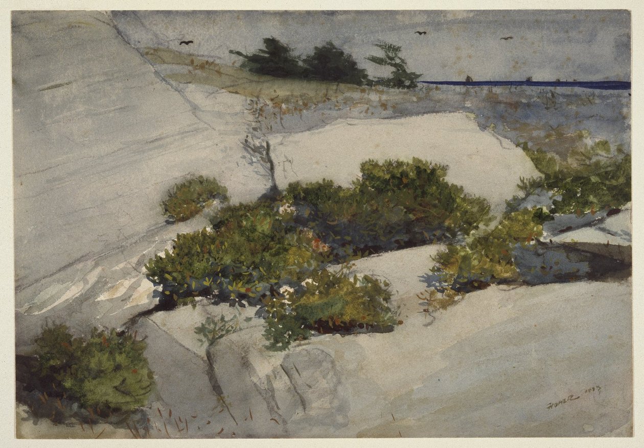 Maine Cliffs av Winslow Homer