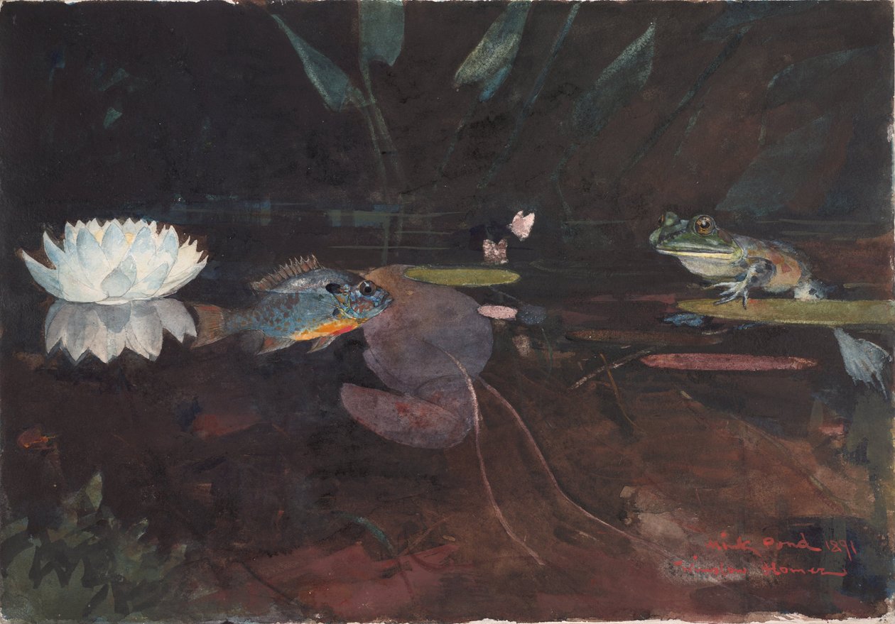 Mink Pond av Winslow Homer