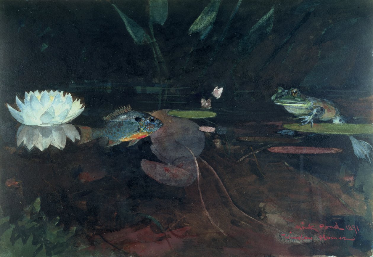 Mink Pond, 1891 (wc over grafitt på papir) av Winslow Homer