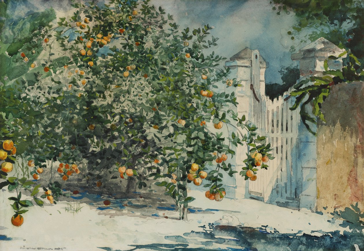 Appelsintrær og port av Winslow Homer