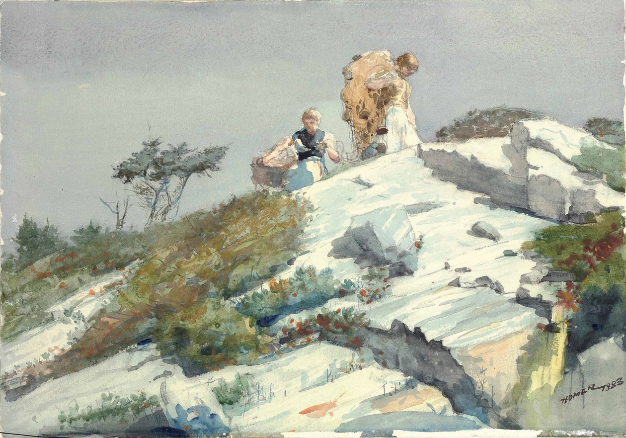 Grovt arbeid av Winslow Homer