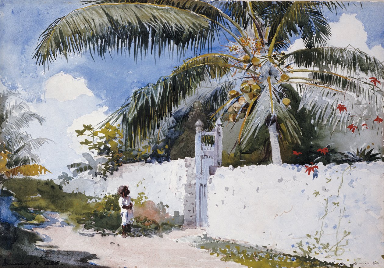 En hage i Nassau, 1885 av Winslow Homer